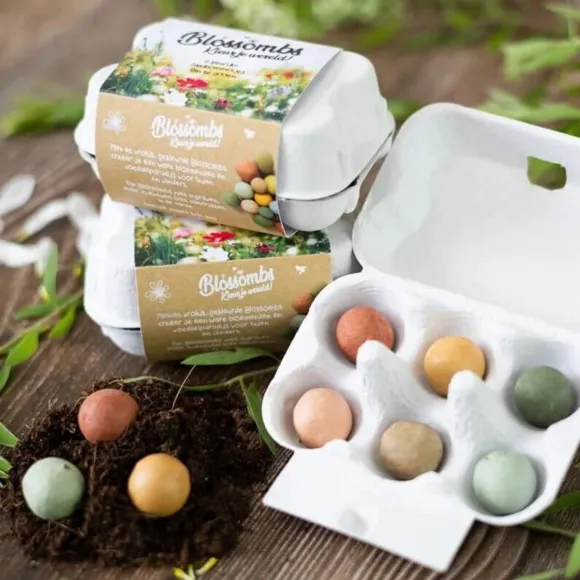 Boite A Oeufs 6 Bombes A Graines