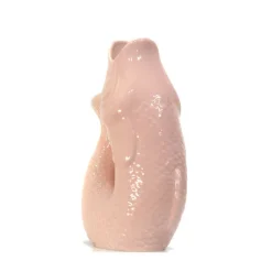 Carafe / Vase Monsieur Carafon Poisson - Rose