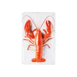Décoration Murale Homard Rouge / Fond Blanc - 20 X 29 Cm