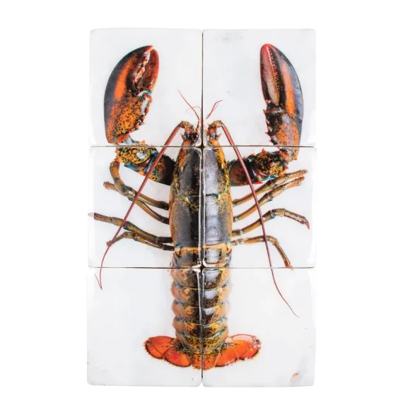 Décoration Murale Homard Sur Glace / Fond Blanc - 40 X 60 Cm