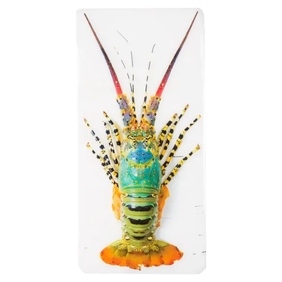 Décoration Murale Jual Homard Laut - 20 X 40 Cm
