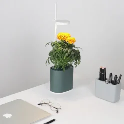 Jardin D'Interieur Connecte Nano Garden - Vert Foret