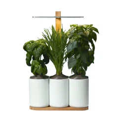 Jardin D'Interieur Lilo