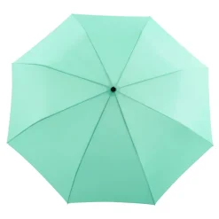 Parapluie A Manche Tete De Canard - Vert Menthe
