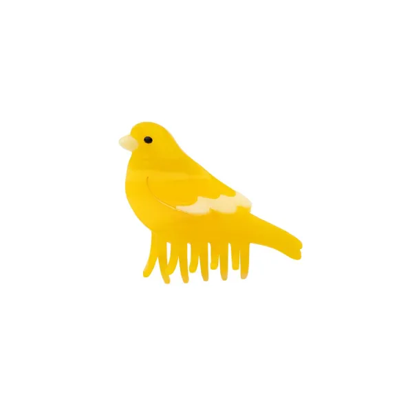 Pince A Cheveux - Canari