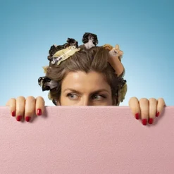 Pince A Cheveux - Corgi