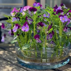 Pique A Fleurs Cercle Kenzan - O 20 Cm - Noir Cuivre