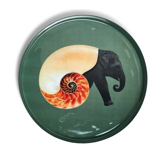 Plateau Rond Shellphant