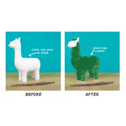 Pot / Jardiniere Chia Lama