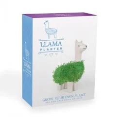 Pot / Jardiniere Chia Lama