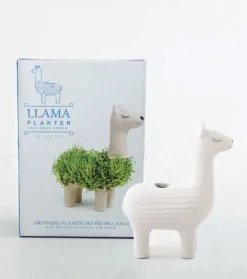 Pot / Jardiniere Chia Lama