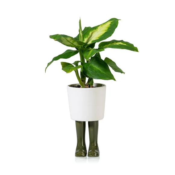 Pot / Jardiniere Wellington Petit - Vert