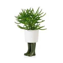 Pot / Jardiniere Wellington Petit - Vert