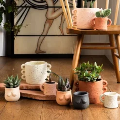 Pot Boob - 8 X O 8 Cm - Couleur Aleatoire