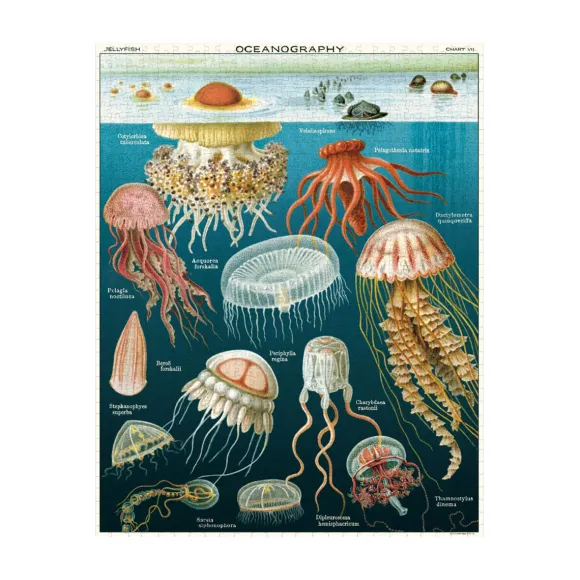 Puzzle Meduses - 1000 Pieces