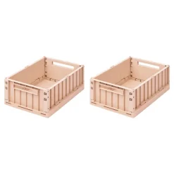 Set De 2 Caisses Weston M - Rose