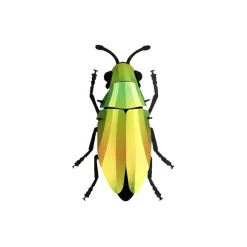 Trophee Origami Coleoptere Mango Vert
