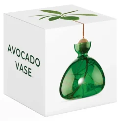 Vase En Verre Pour Avocat