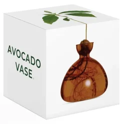 Vase En Verre Pour Avocat